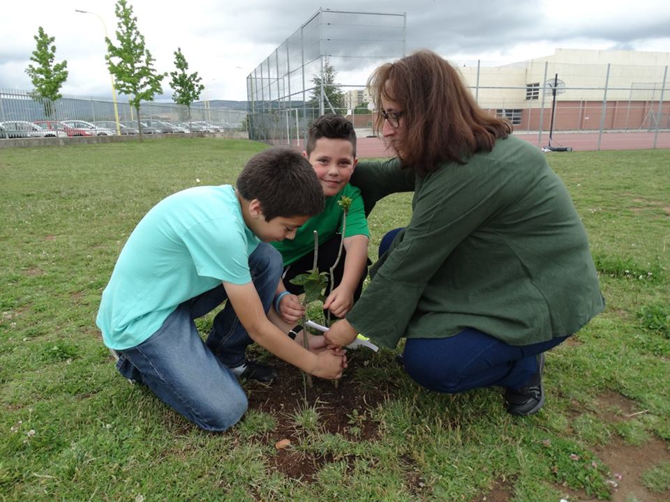 P.46_ABRAÇO VERDE (1)