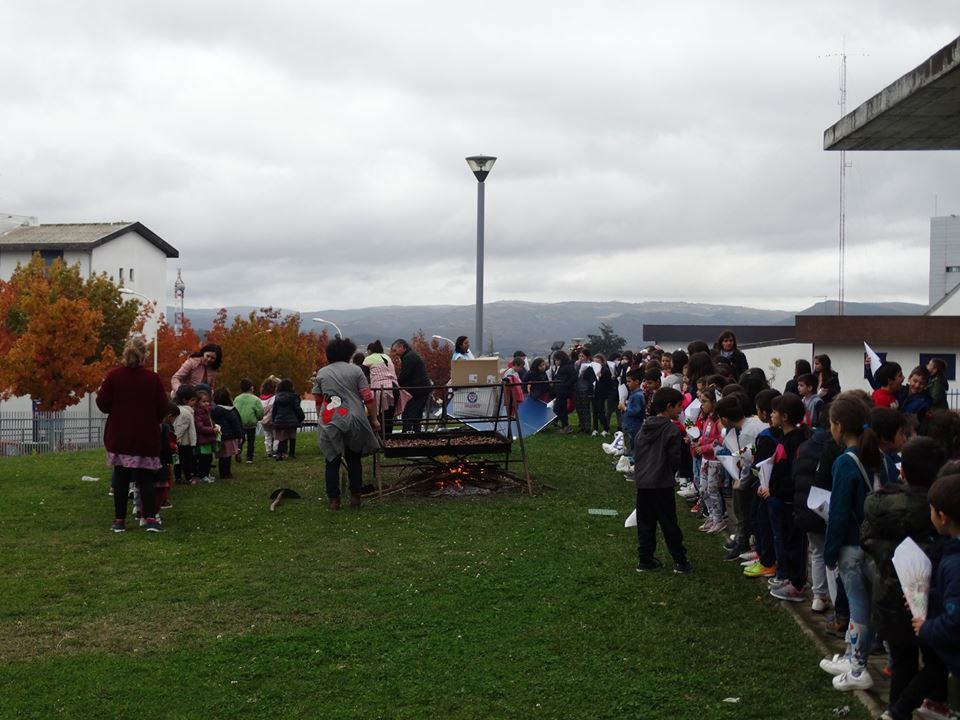 45687969_2185496225103618_7037437200216096768_n