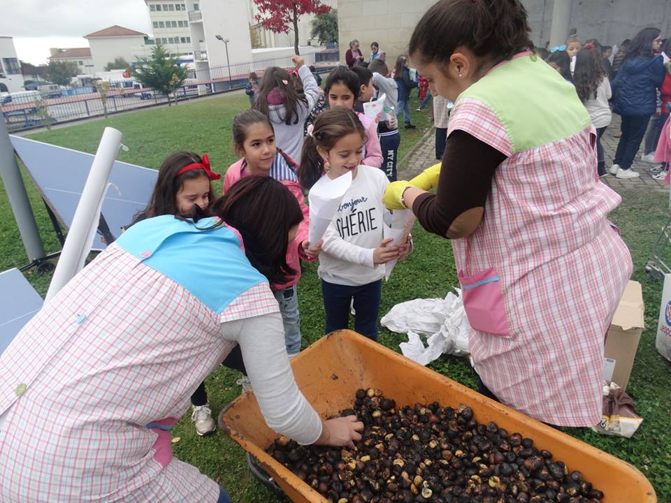 45697047_2185493258437248_4066586069347336192_n