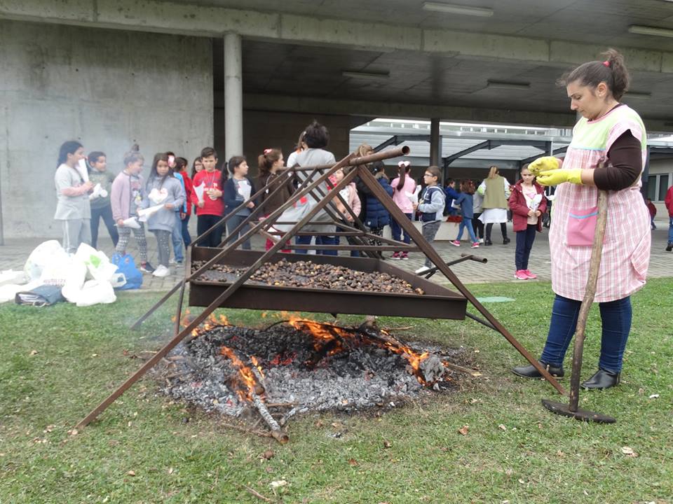 45707321_2185494711770436_4689840322836955136_n