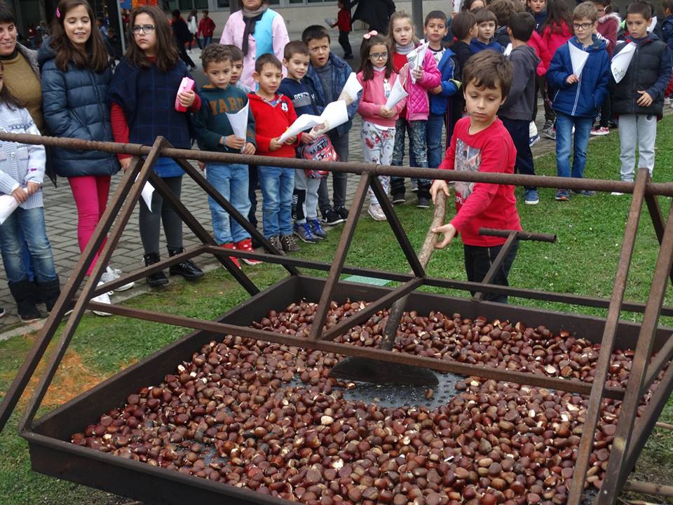 45801282_2185497165103524_7663523314622529536_n