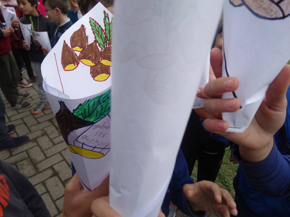 45936352_2185495848436989_2908599690196942848_n